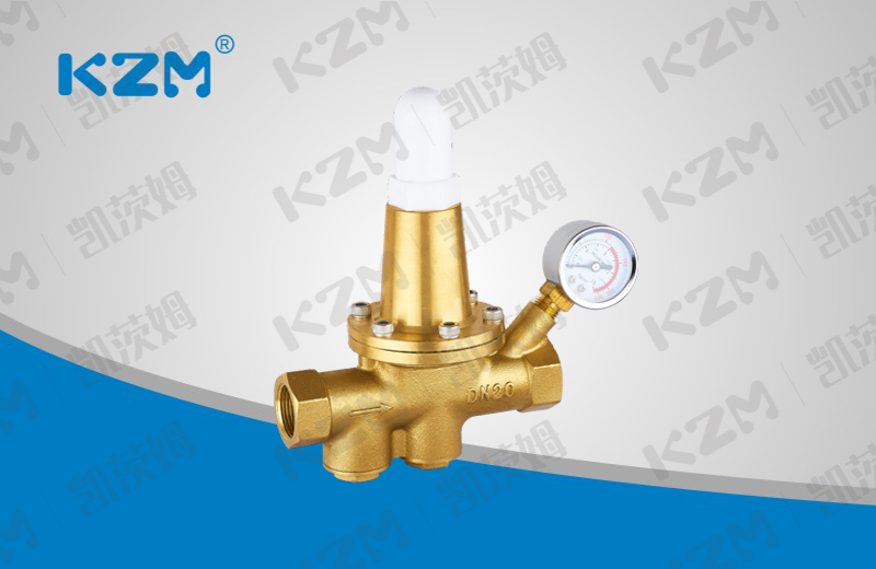 Direct acting adjustable pressure reducing valve