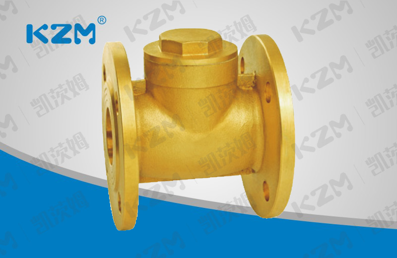 Brass flange check valve