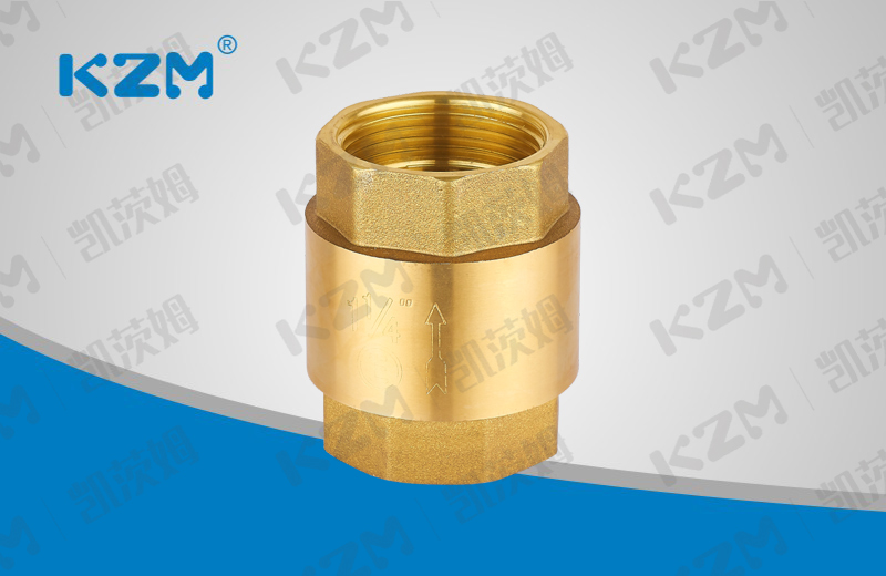 Brass vertical check valve