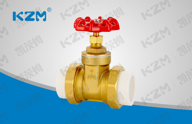 PPR Brass gate valve