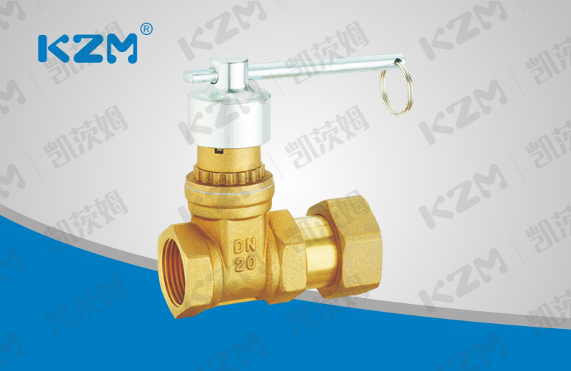 Magnetic locking live connection check gate valve