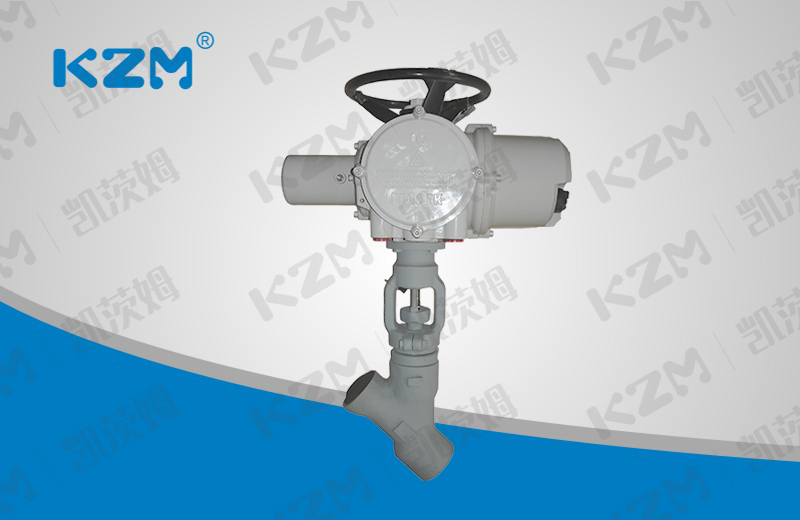 Pound Class Y Type Globe Valve