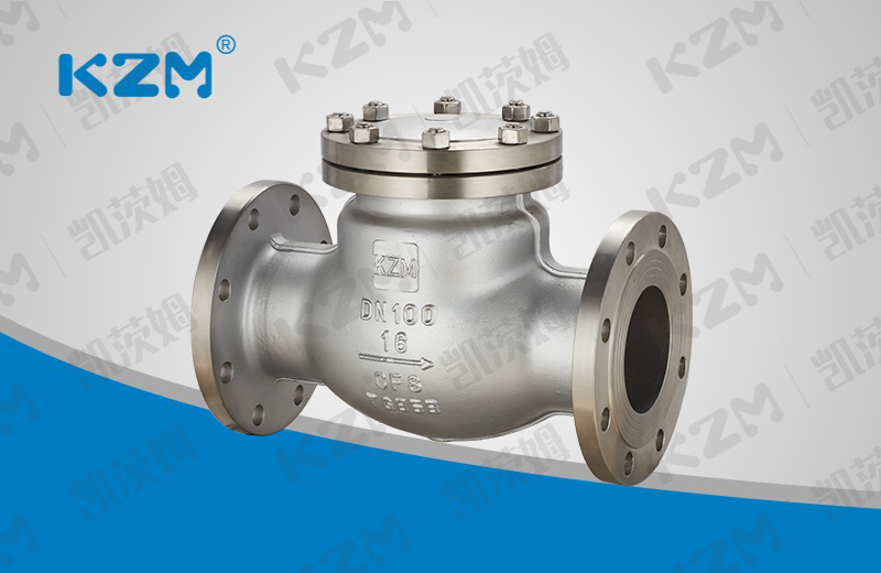 Stainless steel swing check valve