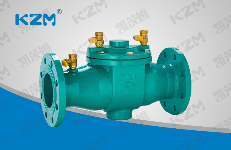 Backflow preventer