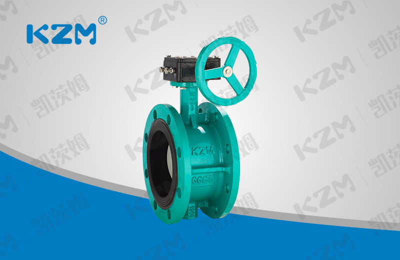 Worm wheel type soft seal butterfly valve